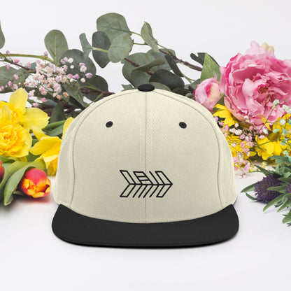 Snapback Hat (Embroidery)