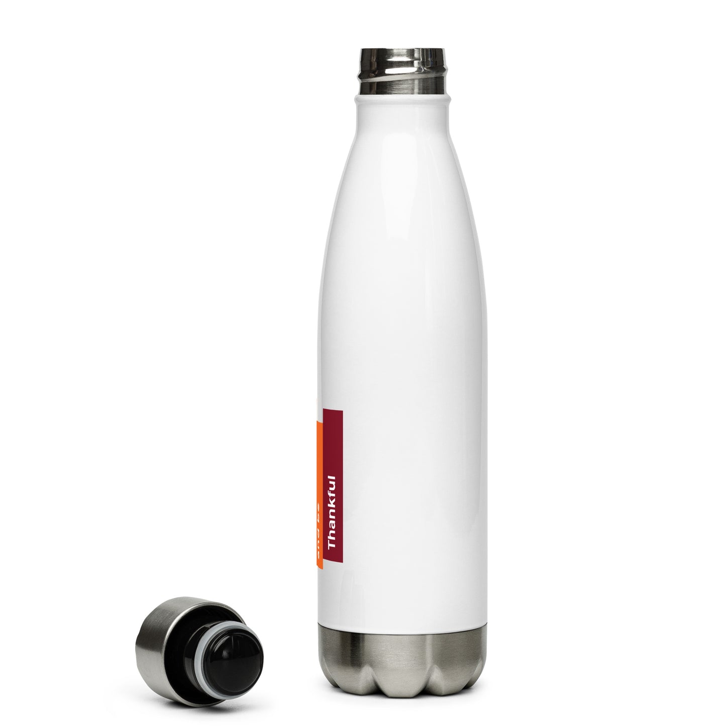 Stainless Steel Water Bottle